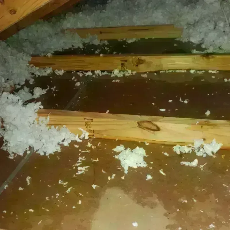 Attic Water Damage in Scottsbluff, NE