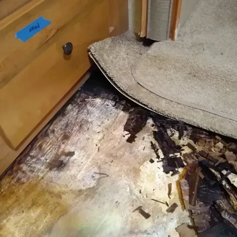 Best Wood Floor Water Damage Service in Scottsbluff, NE